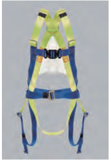De regelbare Uitrustingen van de de Beschermingsveiligheid van de Riemendaling 2 D-vormige ringen voor Werkplaatsveiligheid